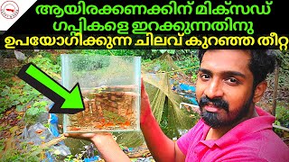 How To Produce Thousands Of Guppies At Low Cost [upl. by Ainitsirk]