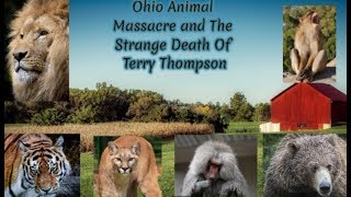 The strange death of Terry Thompson and the zanesville animal massacre [upl. by Llenyr]