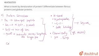 What is meant by denaturation of protein Differentiate between fibrous proteins and globular pr [upl. by Gillett245]