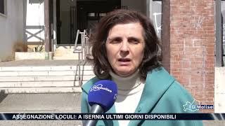 Assegnazione loculi a Isernia ultimi giorni disponibili [upl. by Ingram424]