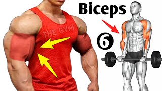 6 Best Exercises Bigger Biceps At Gym  Biceps Workout [upl. by Dnomsed]