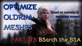 BSA Extracting NIF Optimizer and BSarch  Immersive Armors  PART 3 of 3 [upl. by Calabresi]