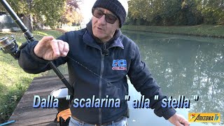 MONDO PESCA  A PESCA COL TEO  DALLA SCALARINA ALLA STELLA  TUTORIAL LENZE  NAVIGLIO DEL BRENTA [upl. by Flyn]