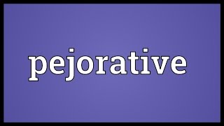 Pejorative Meaning [upl. by Guidotti387]