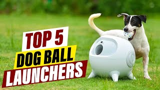 Top 5 Dog Ball Throwers for Endless Fun [upl. by Ater]