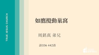 2024720 如鷹攪動巢窩  周銘真 弟兄  TJC關東橋教會 [upl. by Buiron]