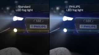 Philips Xtreme Ultinon LED Fog Bulb [upl. by Shirleen]