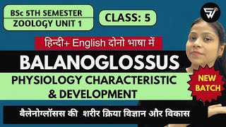 Physiological Characteristics amp Development of BalanoglossusBSc 5th Semester Paper 2 Unit 1 [upl. by Dwyer]