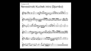 Cambo Agusevi Orchestra Nevestinski Cocekintro [upl. by Sheaff]