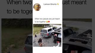 funnyshorts viralvideo funny funnymemes funnyvideo memes viralreels funnymoment satisfying [upl. by Yzus]