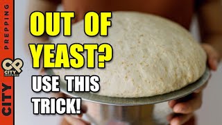 How to Make Yeast From Scratch DIY with a Potato [upl. by Rosina]