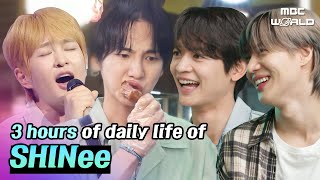 🔴LIVE Watch all recent episodes of 💚SHINee🩵SHINEE [upl. by Addie]