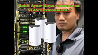 TPLink S7 Deco Mesh WIFI Not Working In VLAN Environments [upl. by Ahsikit]