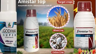 Amister Top fungicide  Godiwa Super fungicide  best fungicide for paddy  ধানের ঝলসা ও খোলা পচা । [upl. by Hanala]