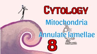 Cytology ll Mitochondria amp Annulate lamellae [upl. by Astrahan]