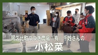 つづき農場の小松菜【産地見学】／生協（COOP）でおすすめの配達購入可能な商品を深堀り！【コープあいち公式】ほこチャンネル [upl. by Okun]