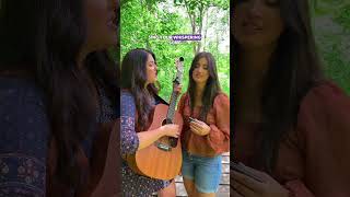 Feathered Indians Tyler Childers Cover  Singing Sisters [upl. by Lachus]