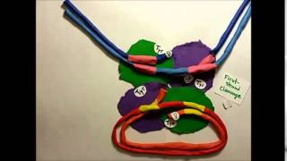 Site Specific Recombination Claymation [upl. by Nyledaj277]