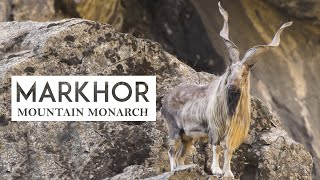 Markhor Documentary I Wildlife Documentary [upl. by Idyak371]