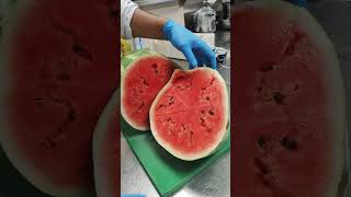 12KG Melon 🇸🇦❤❤ cuttingskils youtubMelone shortvideos fruit [upl. by Romelda529]