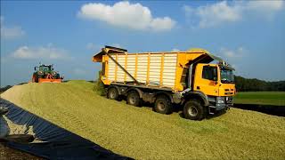 Maisoogst met Tatra Phoenix truck Loonbedrijf JWD Markvoort hakselen [upl. by Calderon]