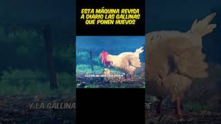 😱Esta máquina revisa a diario las gallinas que ponen huevos viral pelis resumen [upl. by Atila]