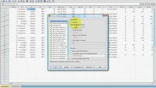 SPSS VideoSeminar  Teil 15 Datenexploration  Sortieren Splitten [upl. by Trotter230]
