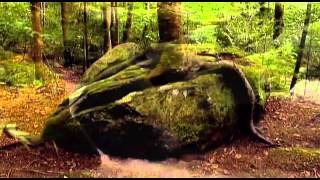 Tourism Throughout Pickens County South Carolina [upl. by Goldsworthy693]