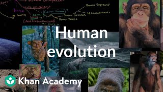 Human evolution overview  Life on earth and in the universe  Cosmology amp Astronomy  Khan Academy [upl. by Nivrad]