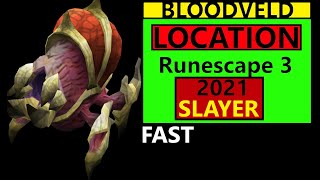 Runescape 3 Bloodveld Location amp Guide Slayer task rs3 Updated 2021 [upl. by Rafaelia539]