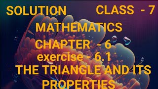 THE TRIANGLE AND ITS PROPERTIES  SOLUTION  CLASS7  MATH  CHAPTER6 EXERCISE 61  SOLUTION [upl. by Tavey698]