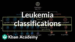 Leukemia classifications  Hematologic System Diseases  NCLEXRN  Khan Academy [upl. by Esihcoc]