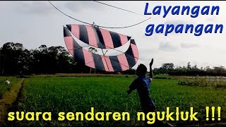 Layangan Gapangan Terbesar Suara Sendaren Ngukluk [upl. by Norvan]