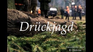 Drückjagd im Wilden Osten  Unterwegs mit den Hunter Brothers Teil 12 [upl. by Ladew]