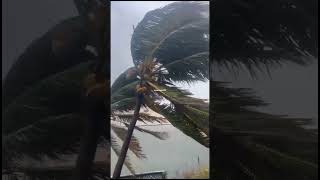 Cyclonic Storm Fengal I Tamil Nadu I Mahabalipuram I Mamallapuram I East Coast Road I ECR [upl. by Lona991]