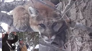 Chasing Mountain Lions in Sanpete County [upl. by Carbone474]