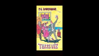 Tüzes víz 12  GH   P G Wodehouse  Hangoskönyv [upl. by Enad873]