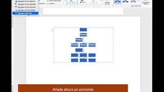 06 Organigrama Microsoft Word [upl. by Acinna46]