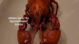 sådan laver du hjemmelavet signalkrebs 🦞🦞🦞🦞🦞🦞 [upl. by Blayne]