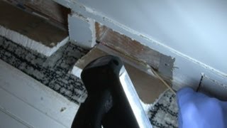 Part 2 Protect Yourself During A Mold Inspection [upl. by Anicul]