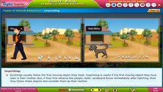 Animal Behaviour  Class 9 Biology  Digital Teacher [upl. by Polly]