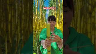 Sugarcane amazingfacts bamboo diy review ytshorts trending shortsfeed china corn field [upl. by Afira234]