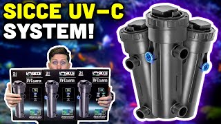 Sicce UVC Clarifiers Your Next Option for UV Treatment [upl. by Lukasz]