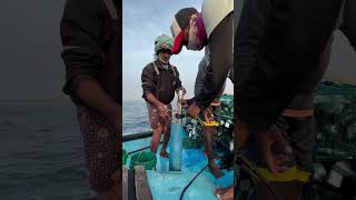 Fishing 🎣 video part3 pavanbunga fishing viralvideos palasa trending sea hardwork hanker [upl. by Halpern]