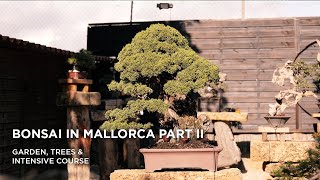 Bonsai in Mallorca II part one [upl. by Htebzil]