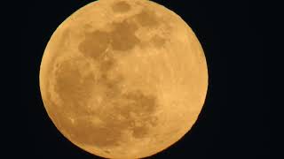 999 Full moon march 24 2024 [upl. by Dolphin]