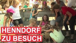 Ferienfreizeit der Gemeinde Henndorf zu Besuch auf Gut Aiderbichl [upl. by Ellekcim134]