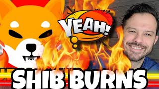 Shiba Inu Coin  SHIB Burns Are Rising Along With The Price Of SHIB [upl. by Eylloh989]