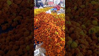 bangalore diwali flowers sale kr puram market shorts viralvideo instagram flowers funny [upl. by Sitsuj]