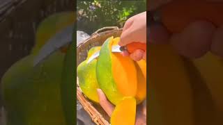 🥭Mangifera indica🥭 mango viral fruit fruitcutting satisfying yummy shorts fyp viralshorts [upl. by Eidod]